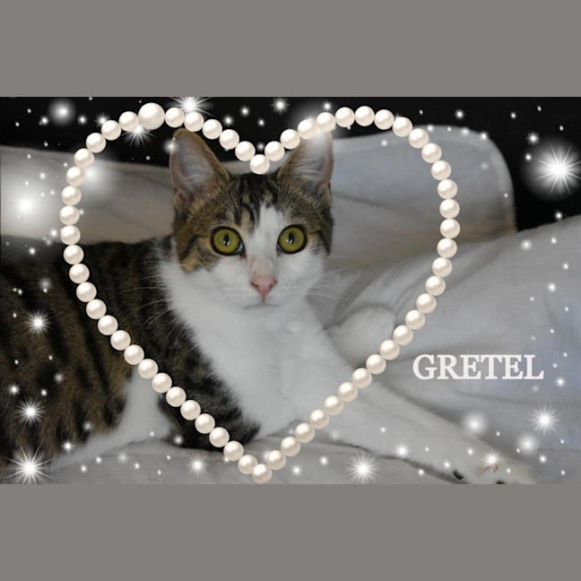 Photo of Gretel
