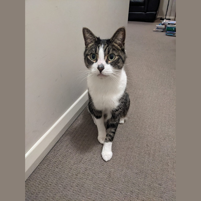 Photo of Freddy