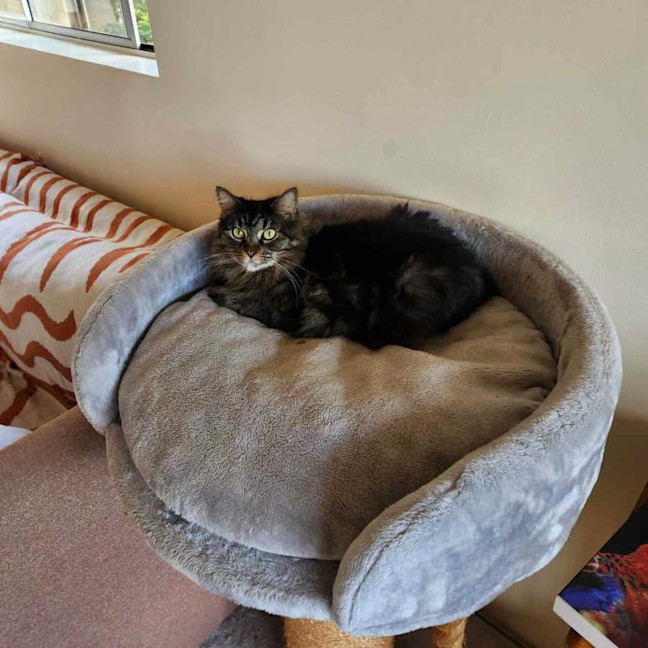 Photo of Besom & Stang