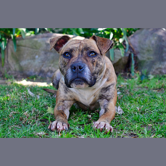 Photo of Polly Pocket