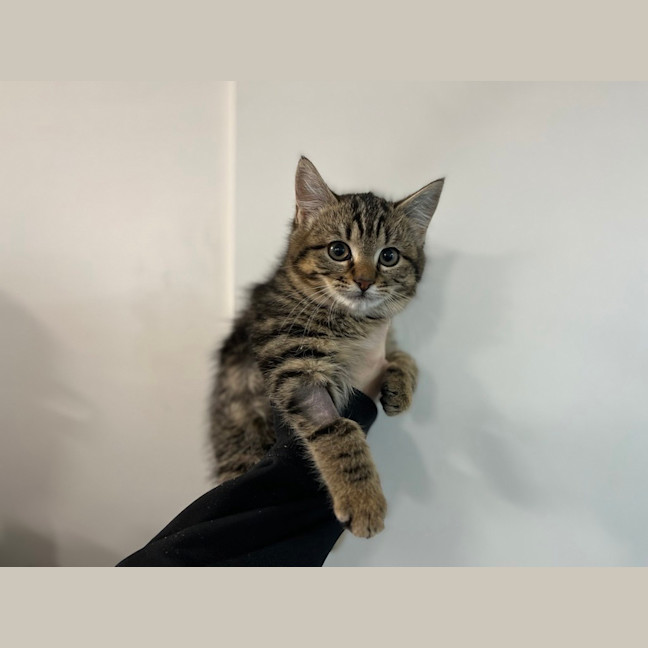 Photo of Stormi