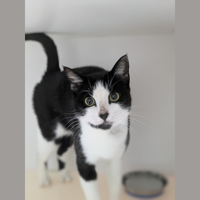 Photo of 🌱 Camila 6171 🌱