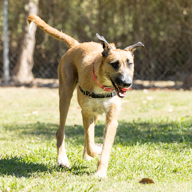 Photo of Hugo