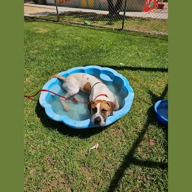 Photo of Axel