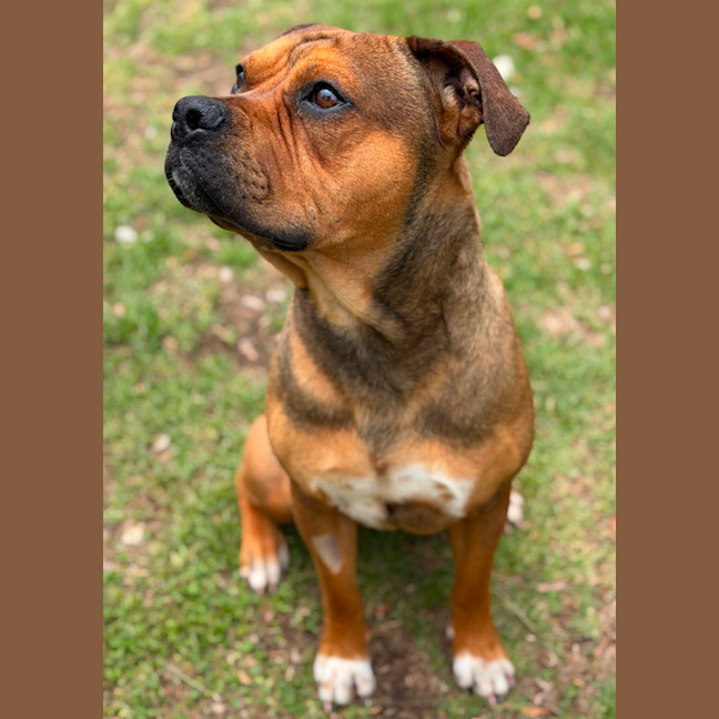 Photo of Bugsby 