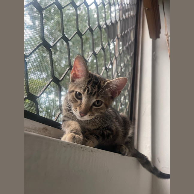 Photo of Eve