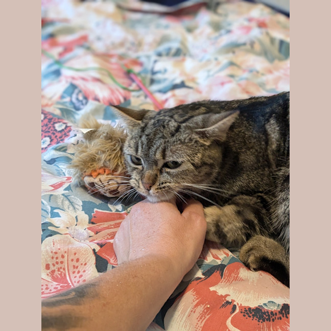 Photo of Mabel