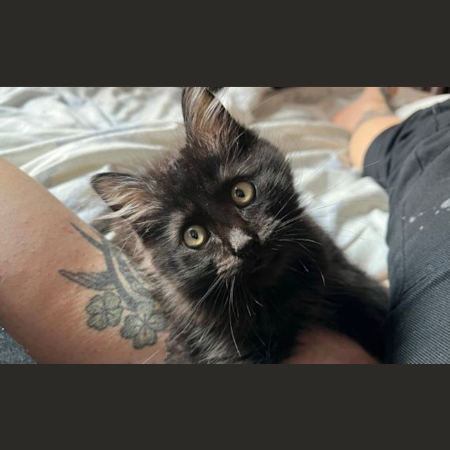 Photo of Wednesday