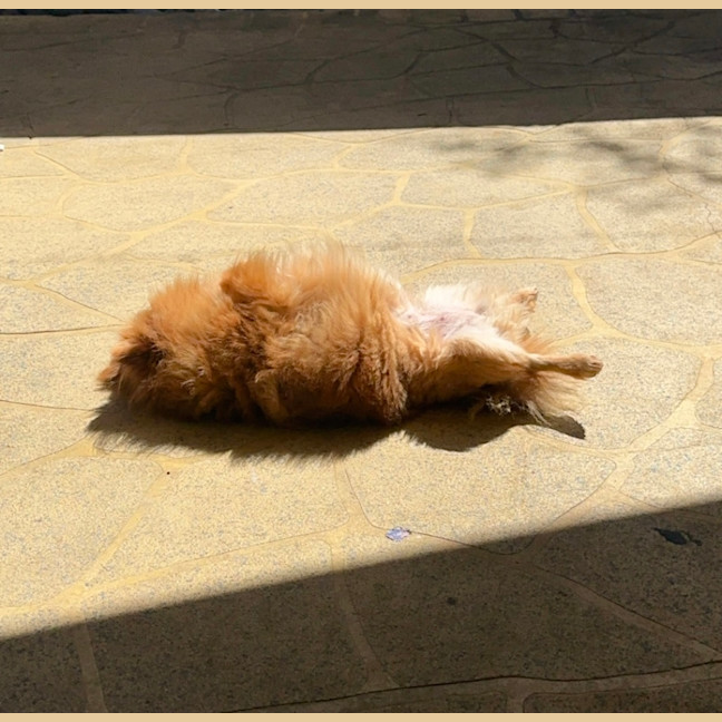 Photo of Pinky
