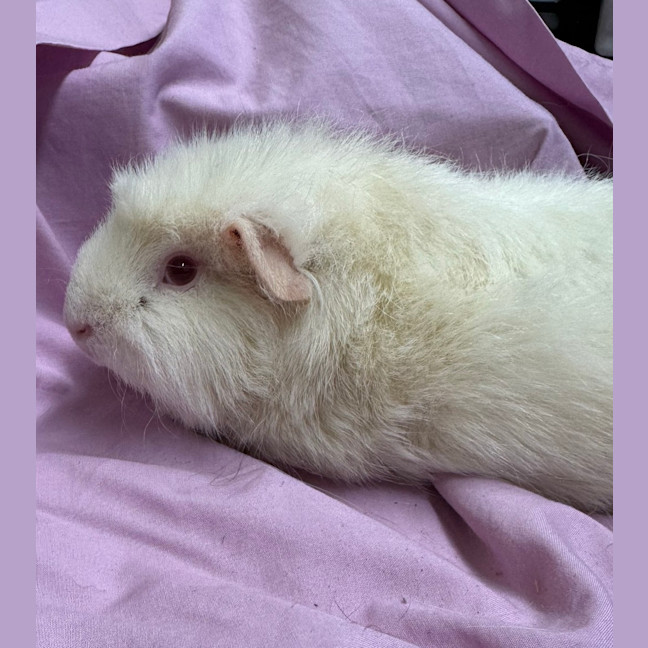 Photo of Nita