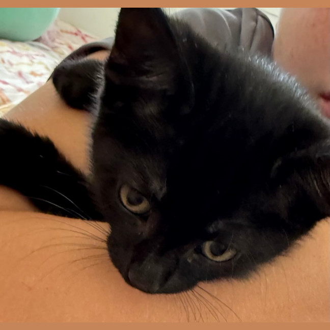 Photo of Asha & Kiki