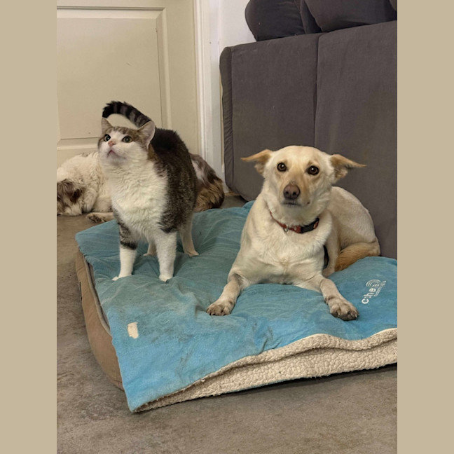 Photo of Tiny