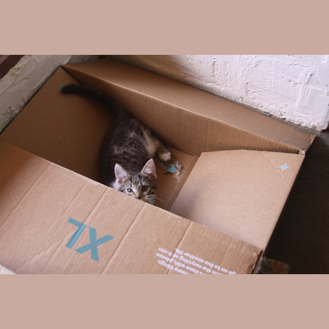 Photo of 💗 Logan 💗