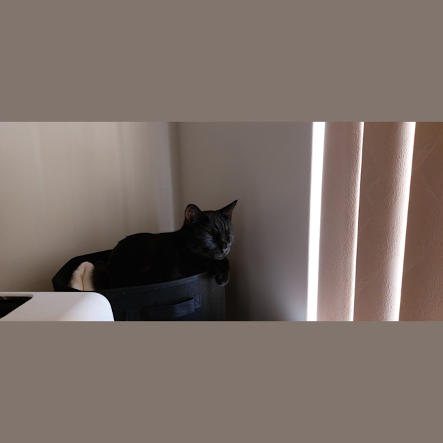 Photo of Salem