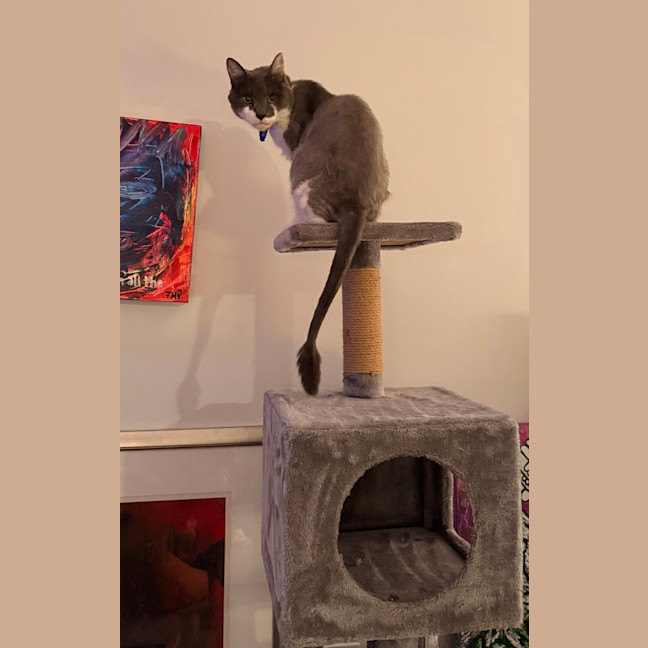 Photo of Principal Flutie 