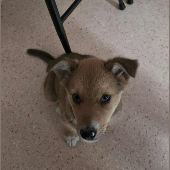 Photo of Mojo