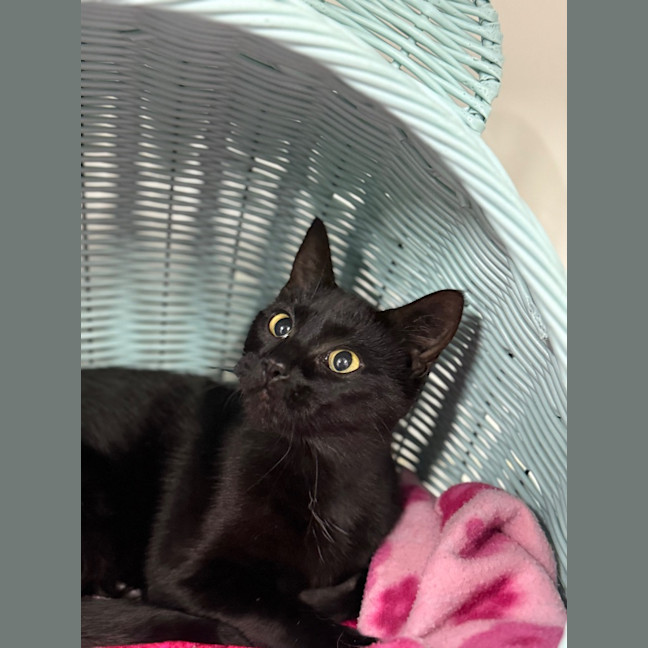 Photo of Way Way   Burnie