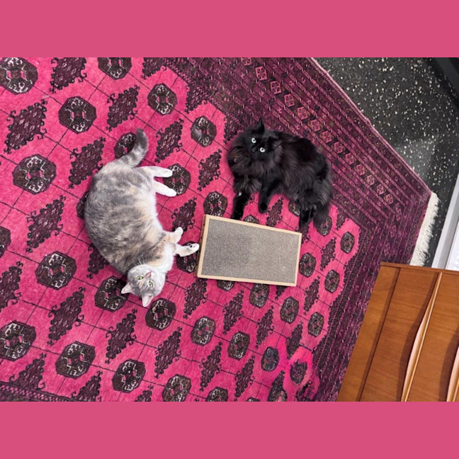 Photo of Susan Uffelman