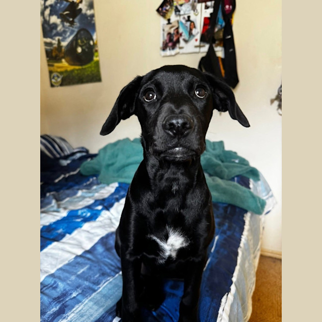 Photo of Beatrice