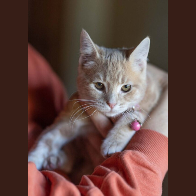 Photo of Tim Tam