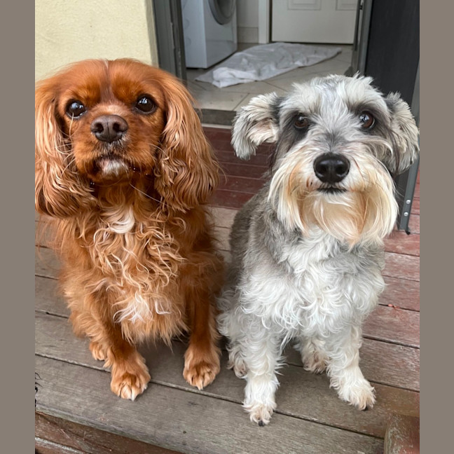 Photo of Toast And Nanna