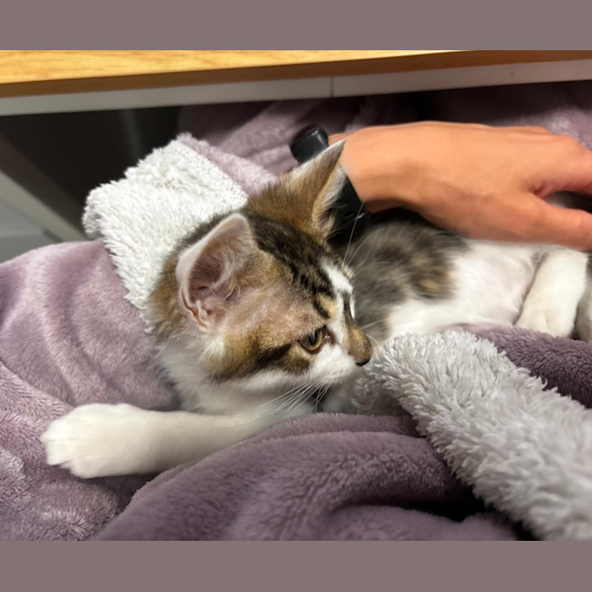 Photo of Ben And Jerry