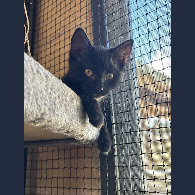 Photo of Charlie