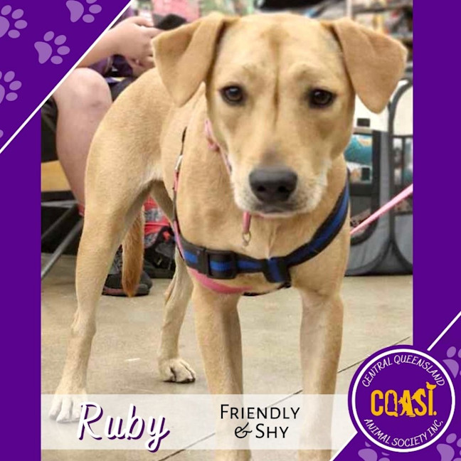 Photo of Ruby