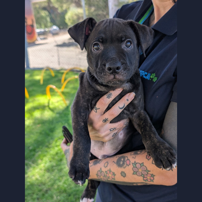 Photo of Zeus