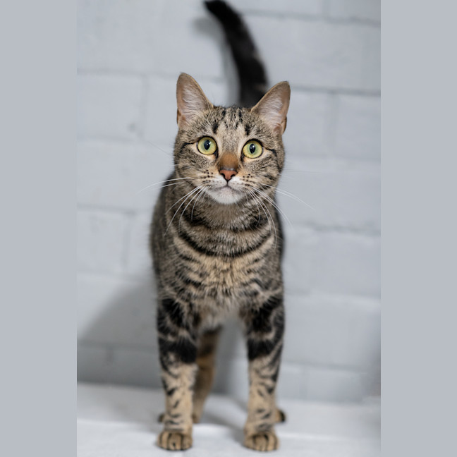 Photo of Tara
