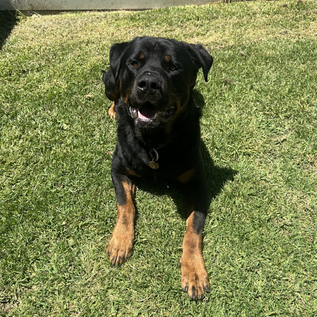 Photo of Axel