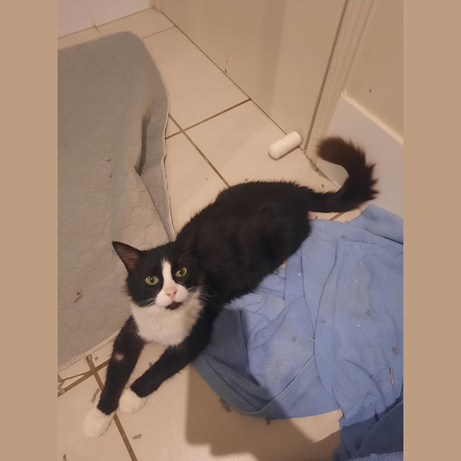 Photo of Cassandra