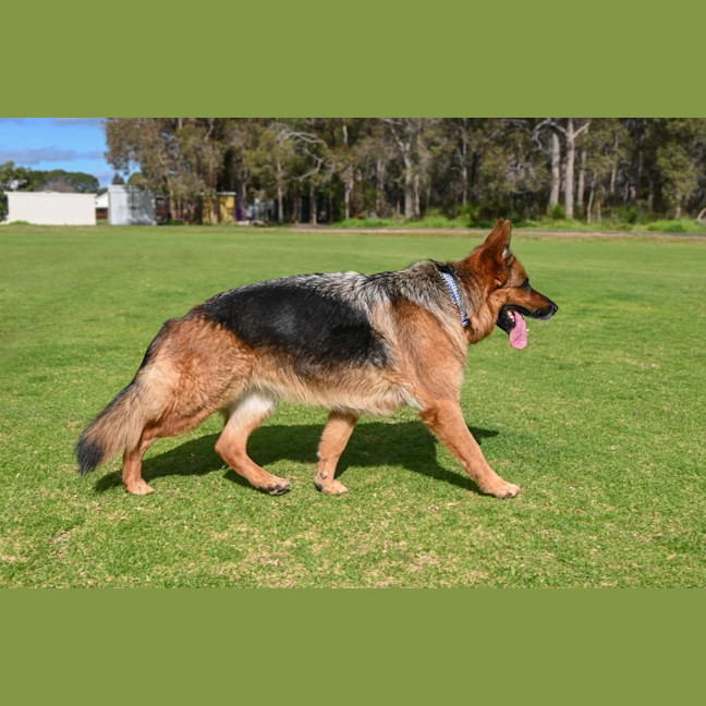 Photo of Ruby