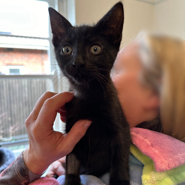 Photo of ❤️ Ravi ❤️