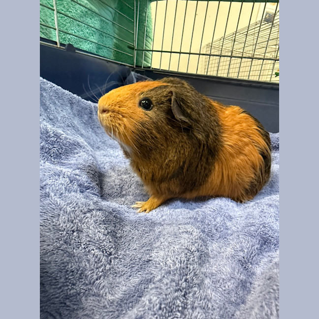 Photo of Phil