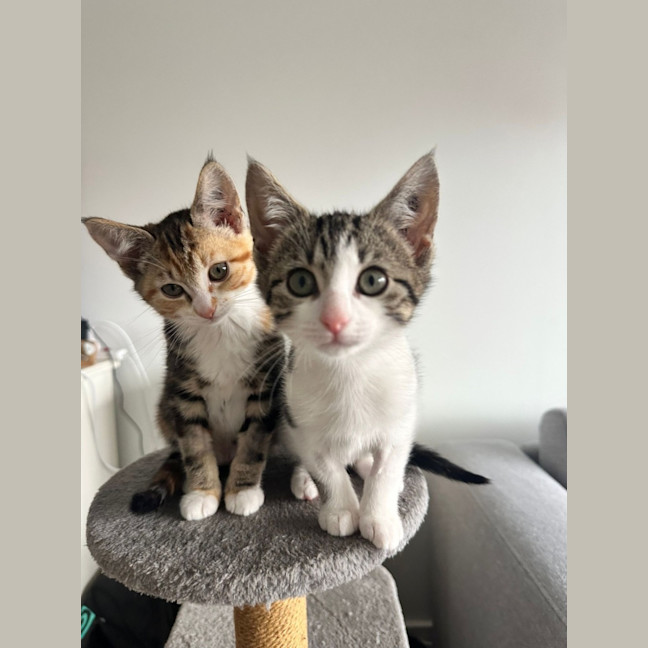 Photo of Cheri & Juni
