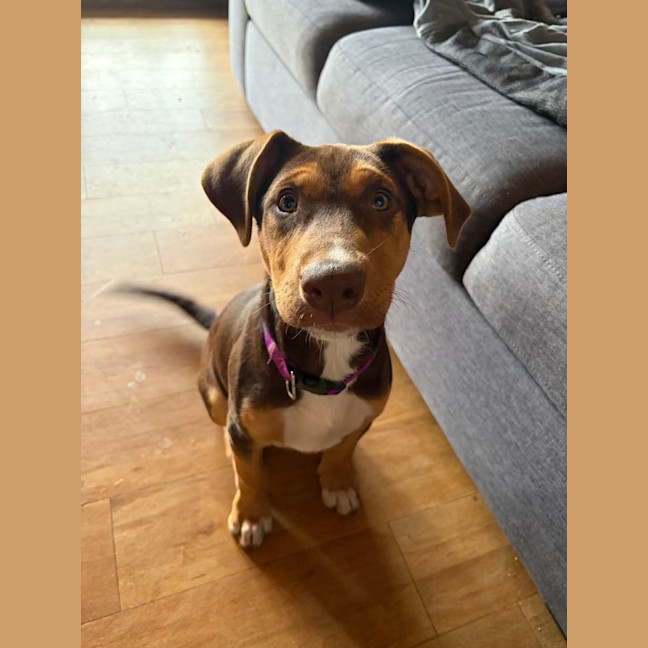 Photo of Winnie