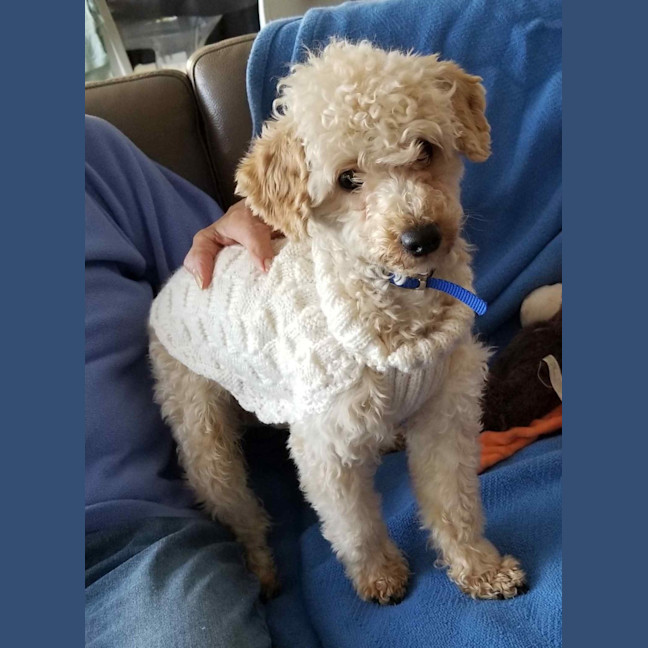 Photo of Reggie