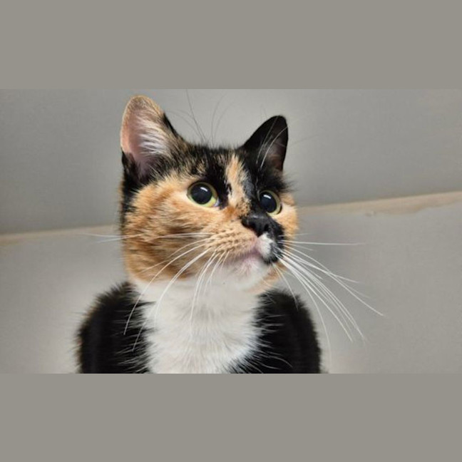 Photo of Esmeralda