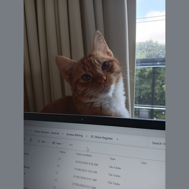 Photo of Snickers