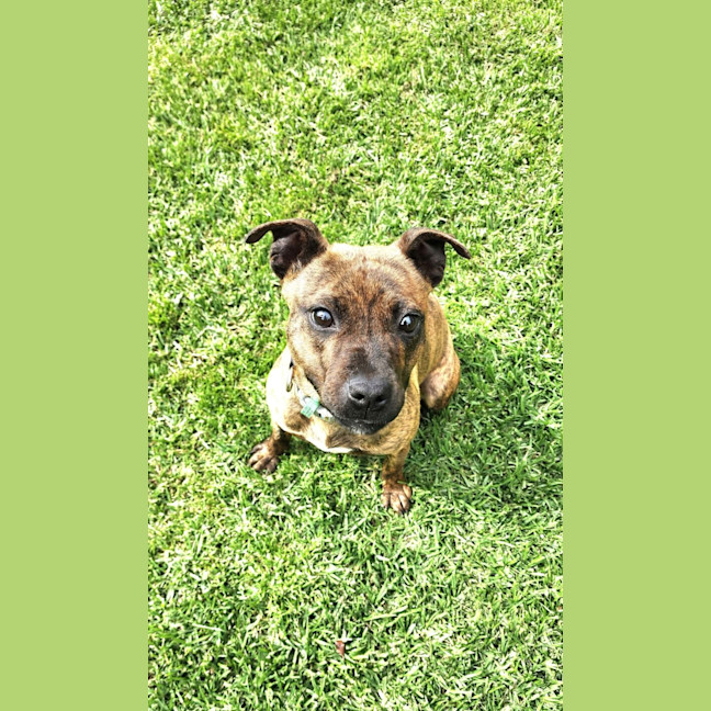 Photo of Livvi