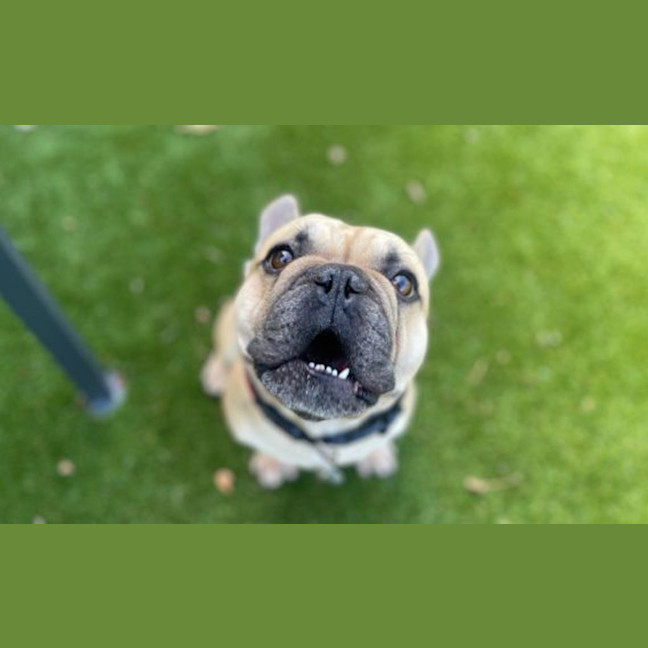 Photo of Bruce