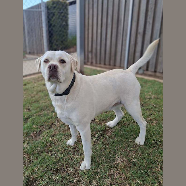 Photo of Max
