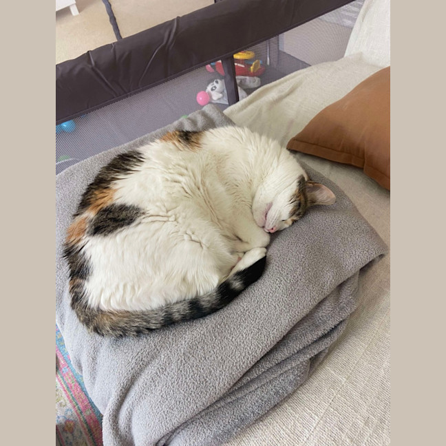 Photo of Shelly And Sandy