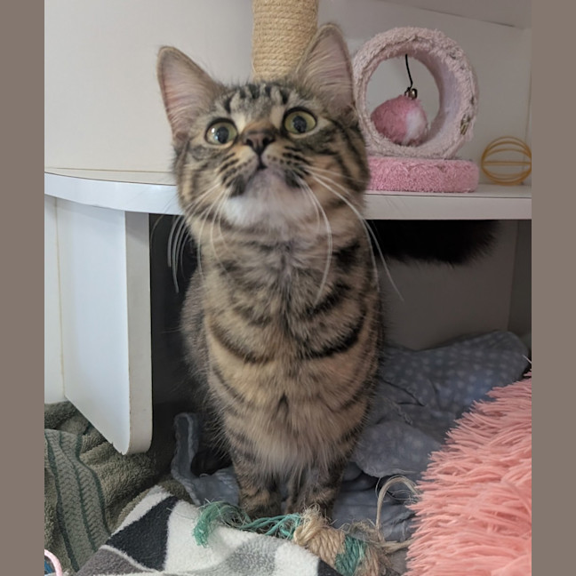 Photo of Evie