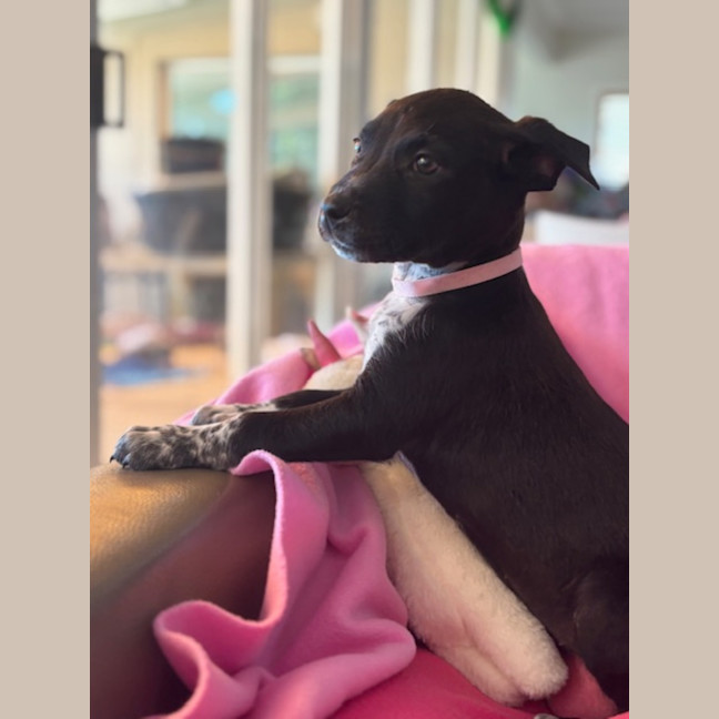 Photo of Cora