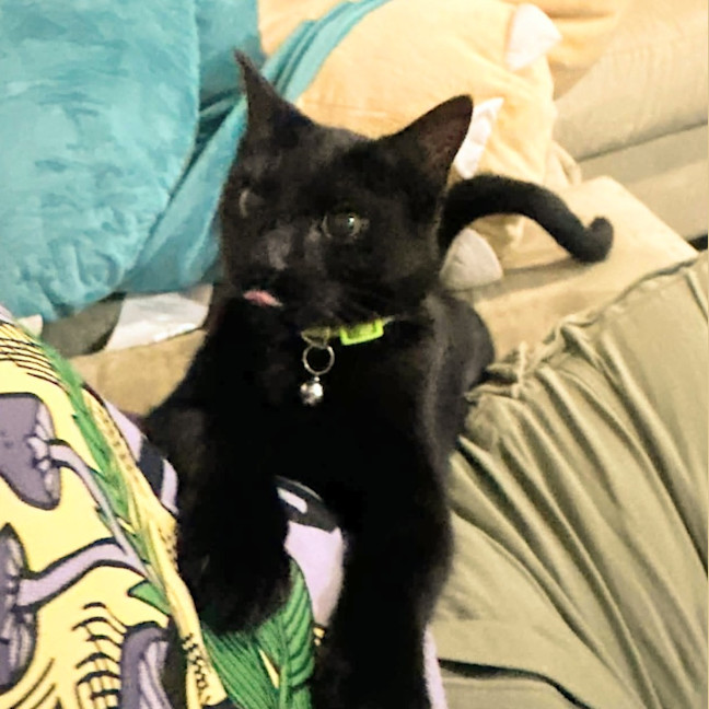 Photo of Buttercup