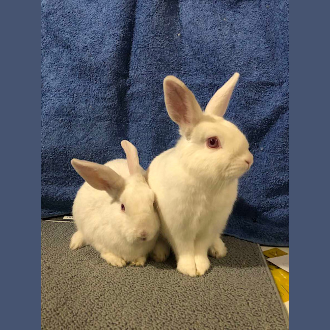 Photo of Alaska & Kenny