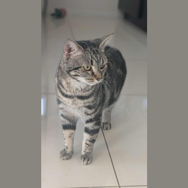 Photo of Susie