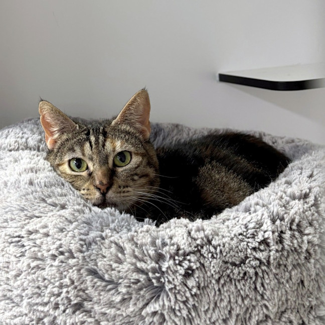 Photo of Mum Sua013024 & Ginger Ninja Sua013023